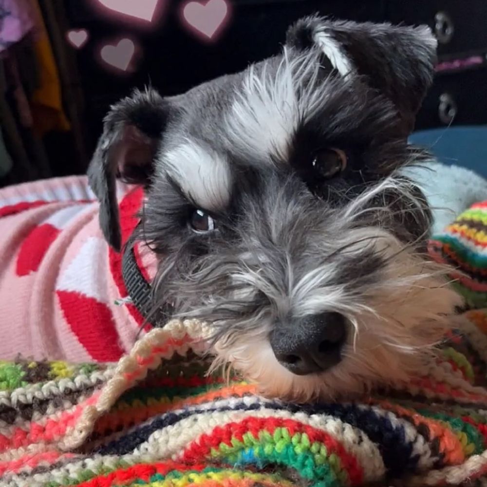 Sam