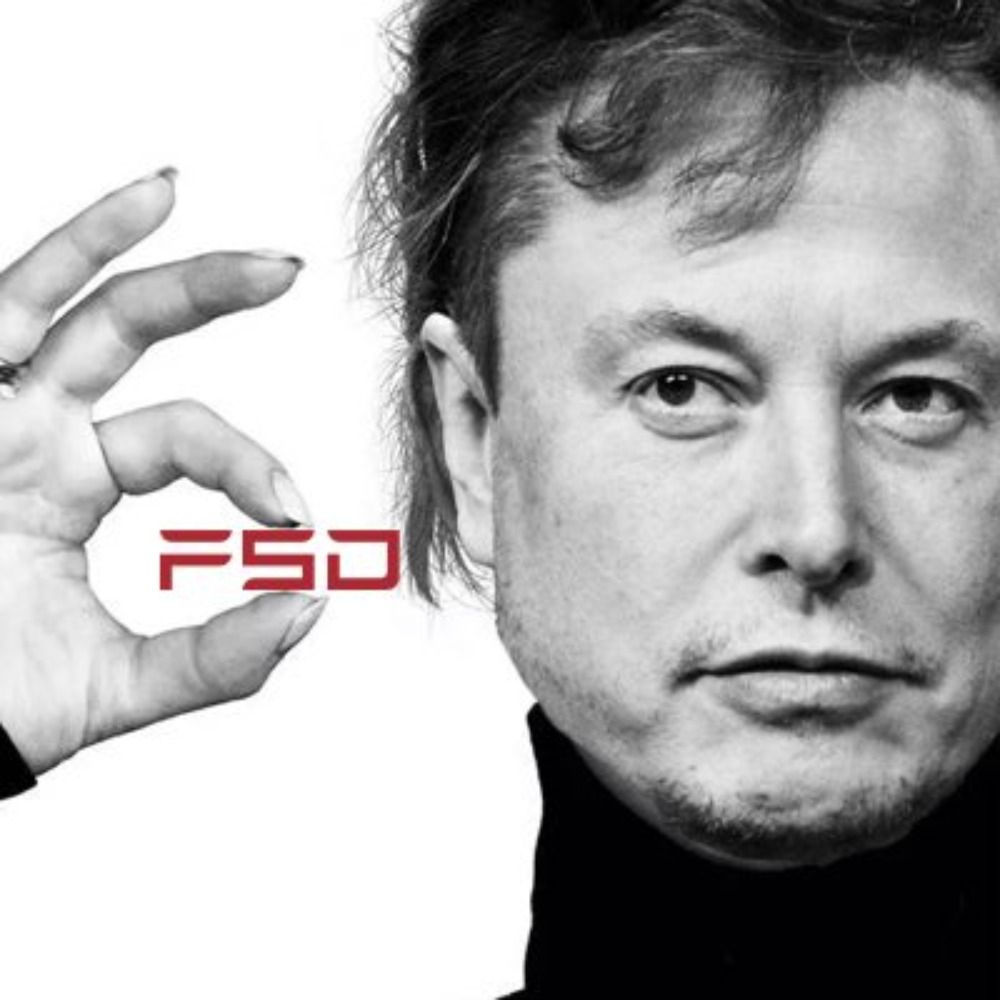 Yoloking of $TSLAQ