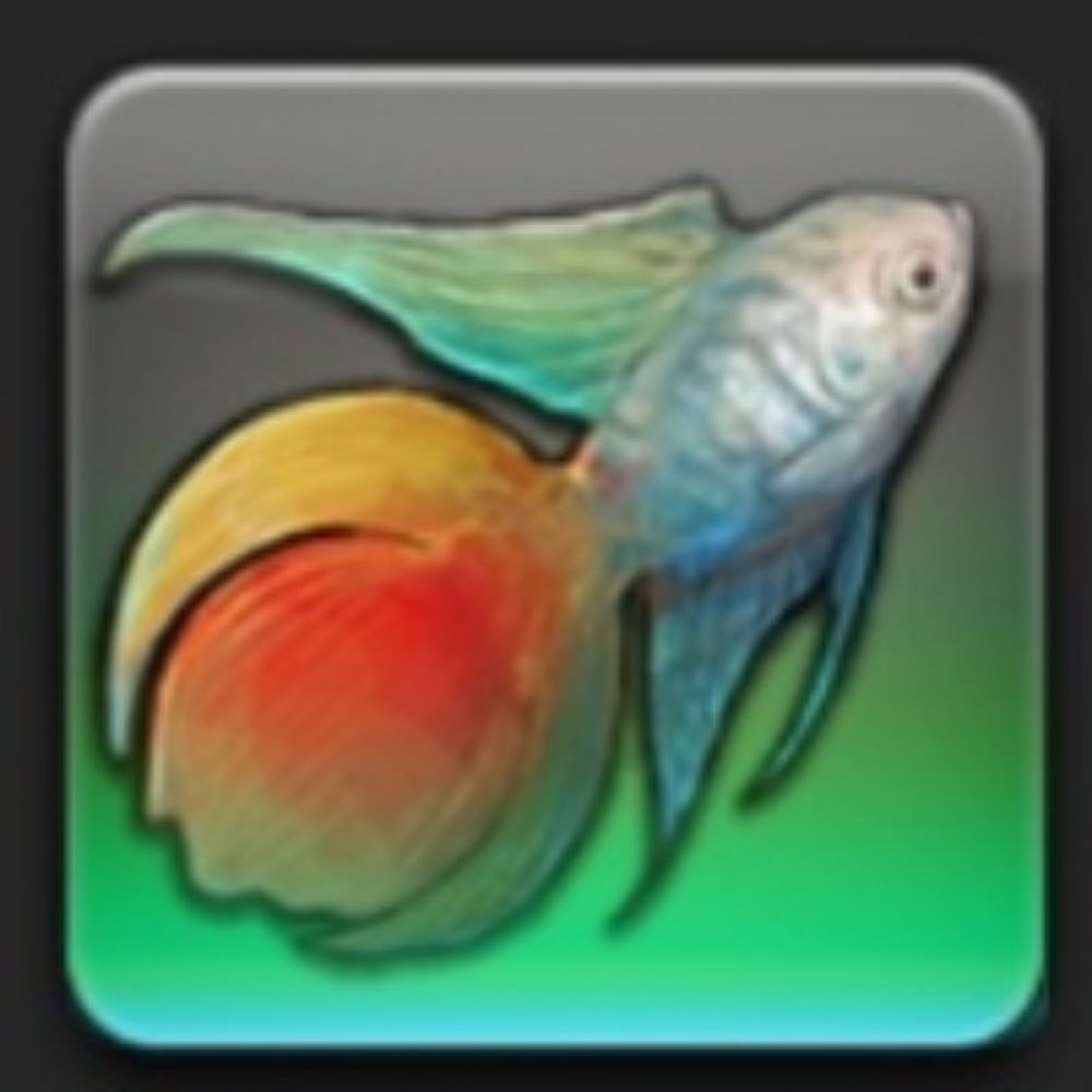 ろむ魚