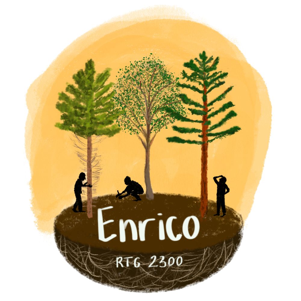 EnriCo - Uni Goettingen