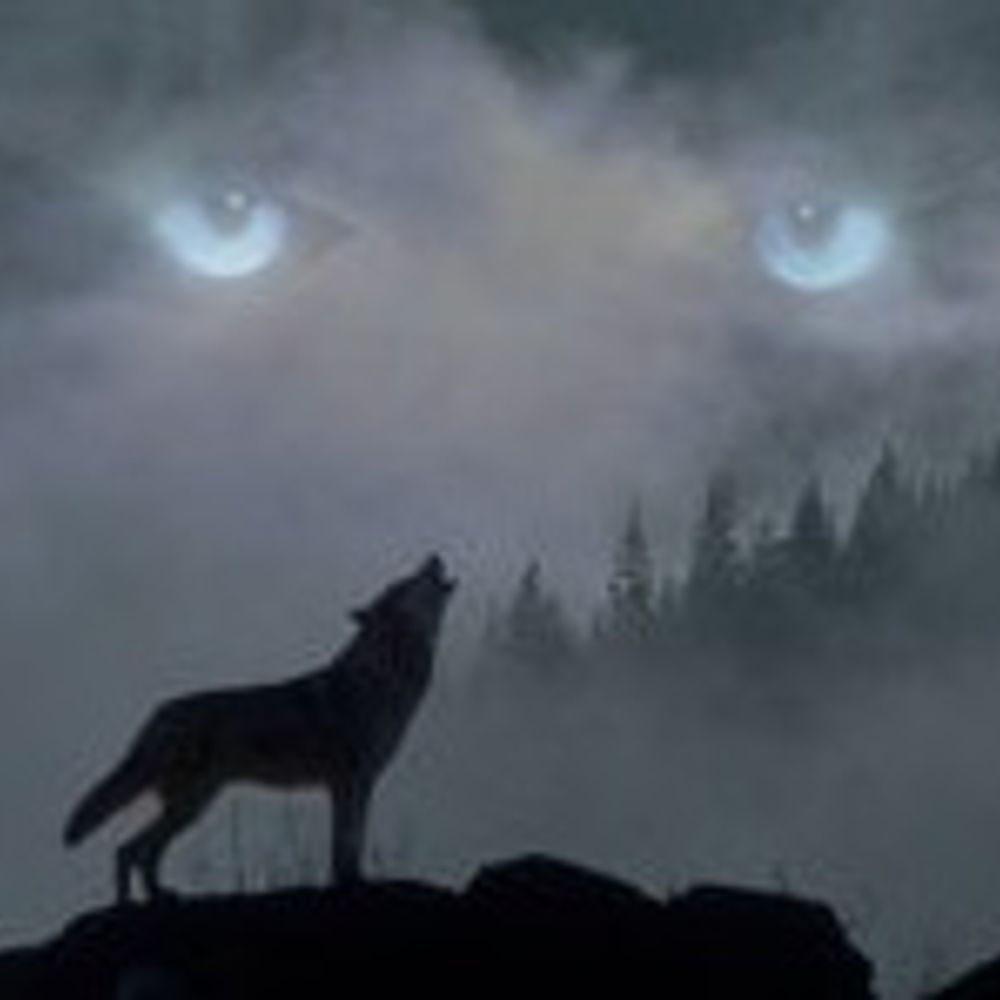 blackwolfslaugh