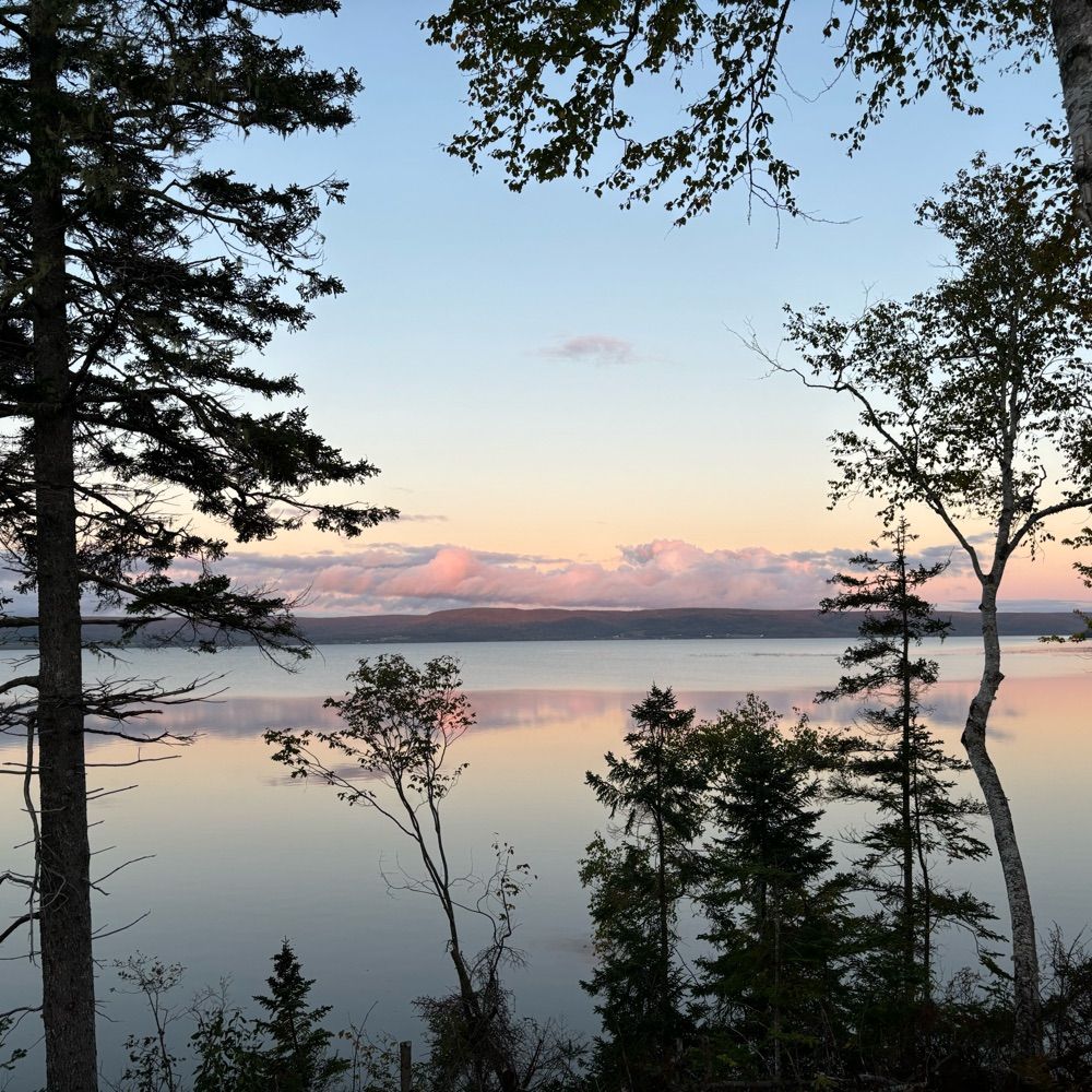 Lake life