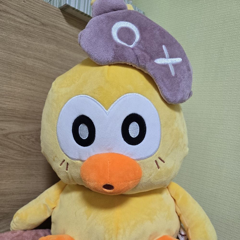 홍애