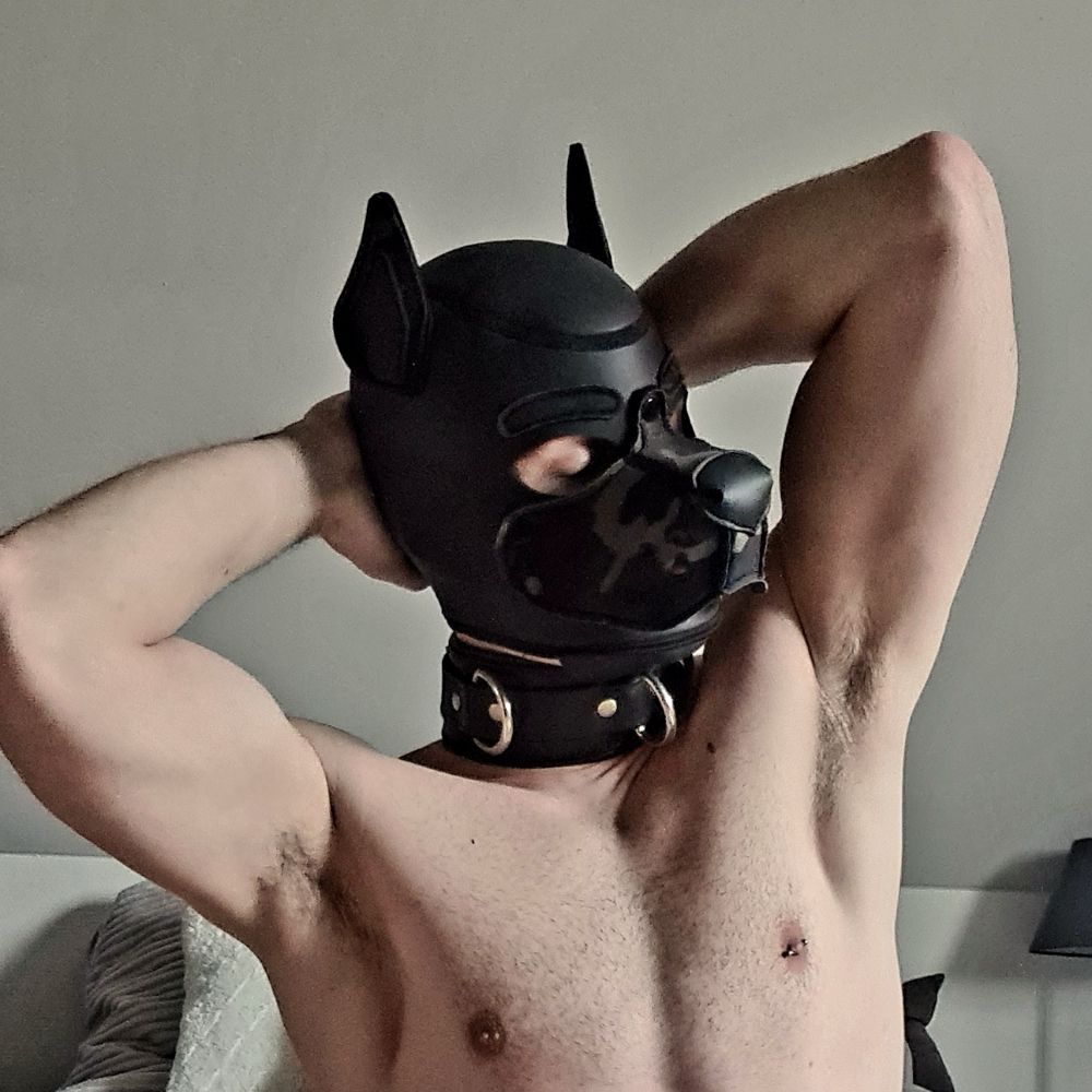Jayepup