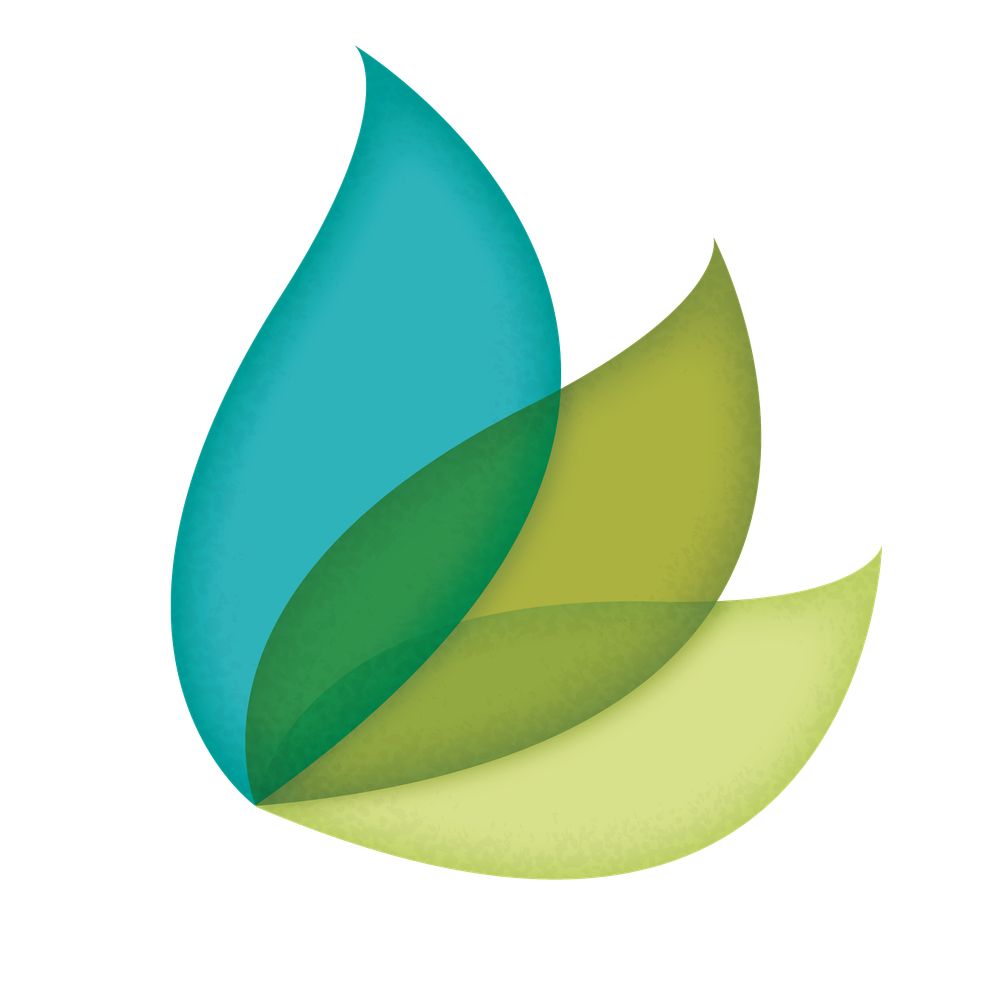 Legacy Tree Genealogists