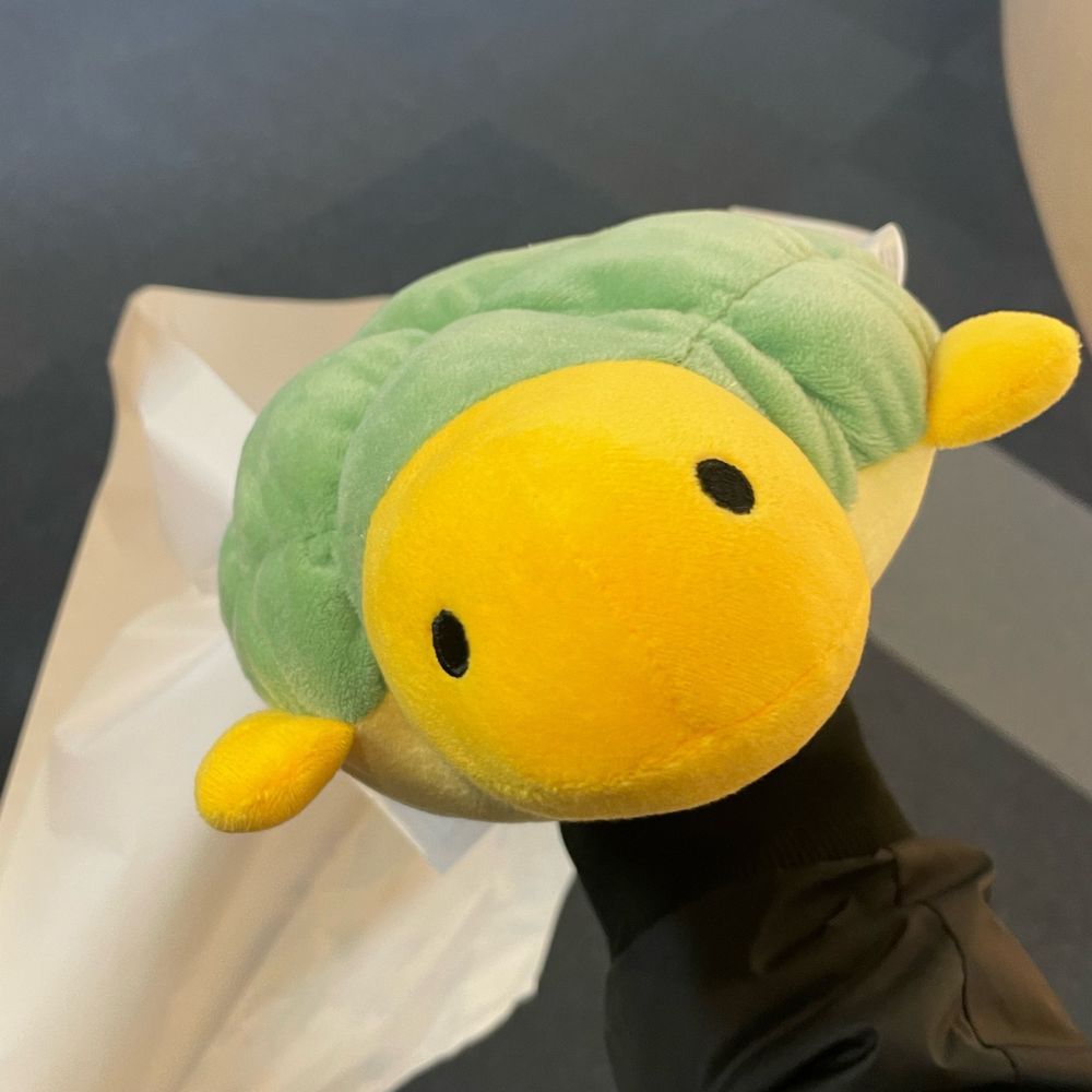 つっちー