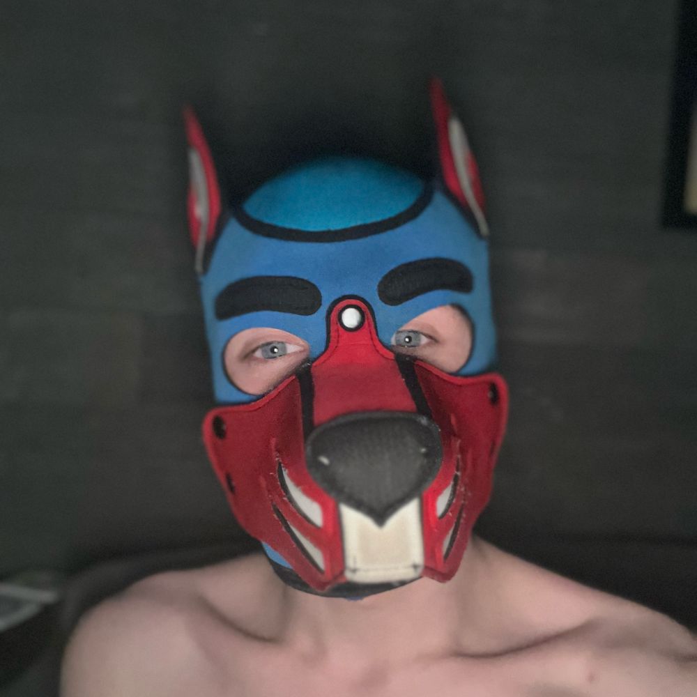 PuppyGunner20