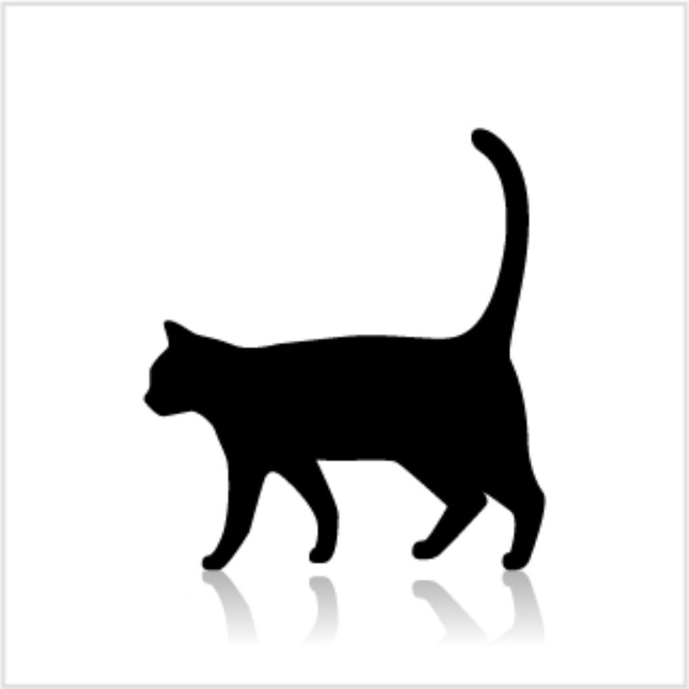 たれねこ