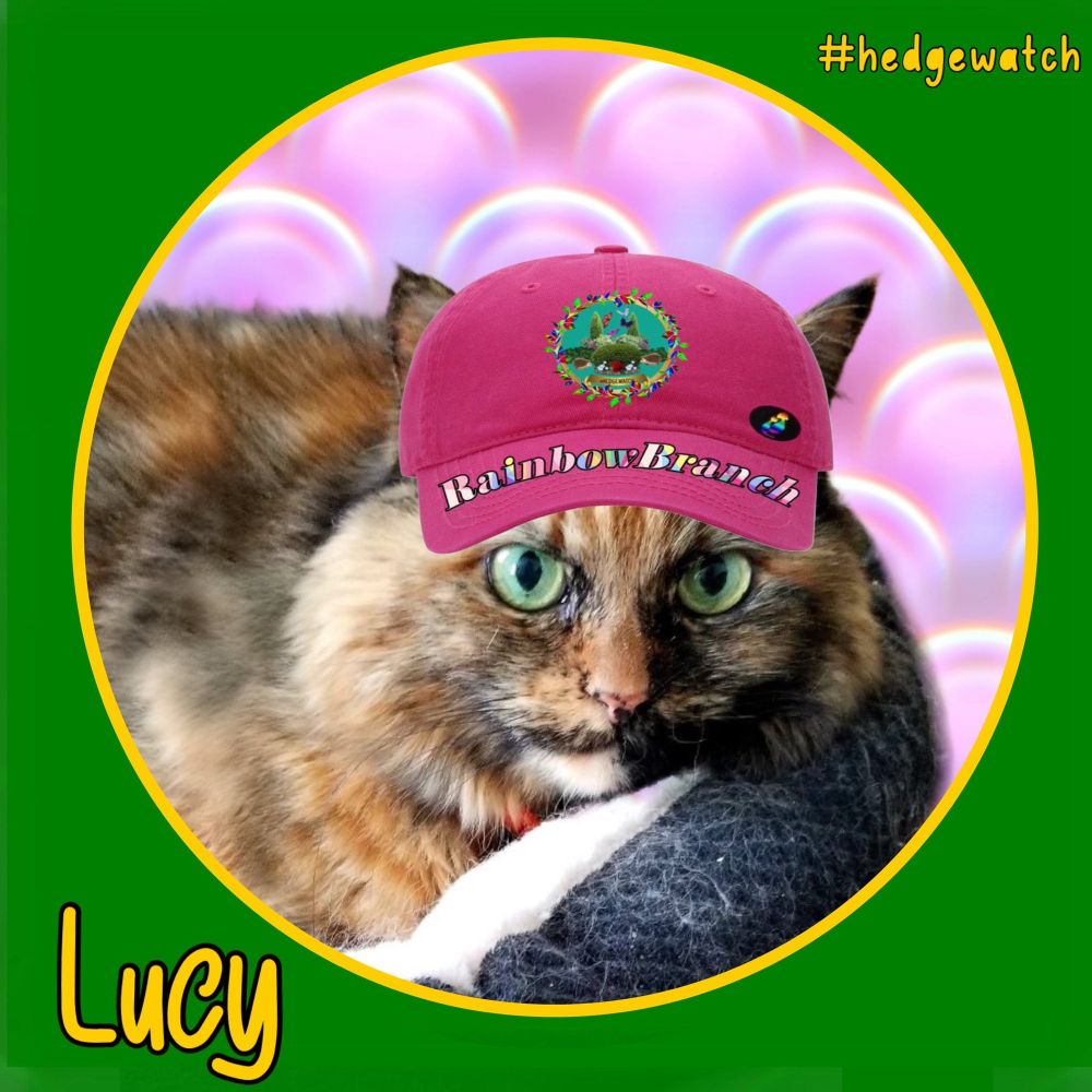 Angel Lucy Cat
