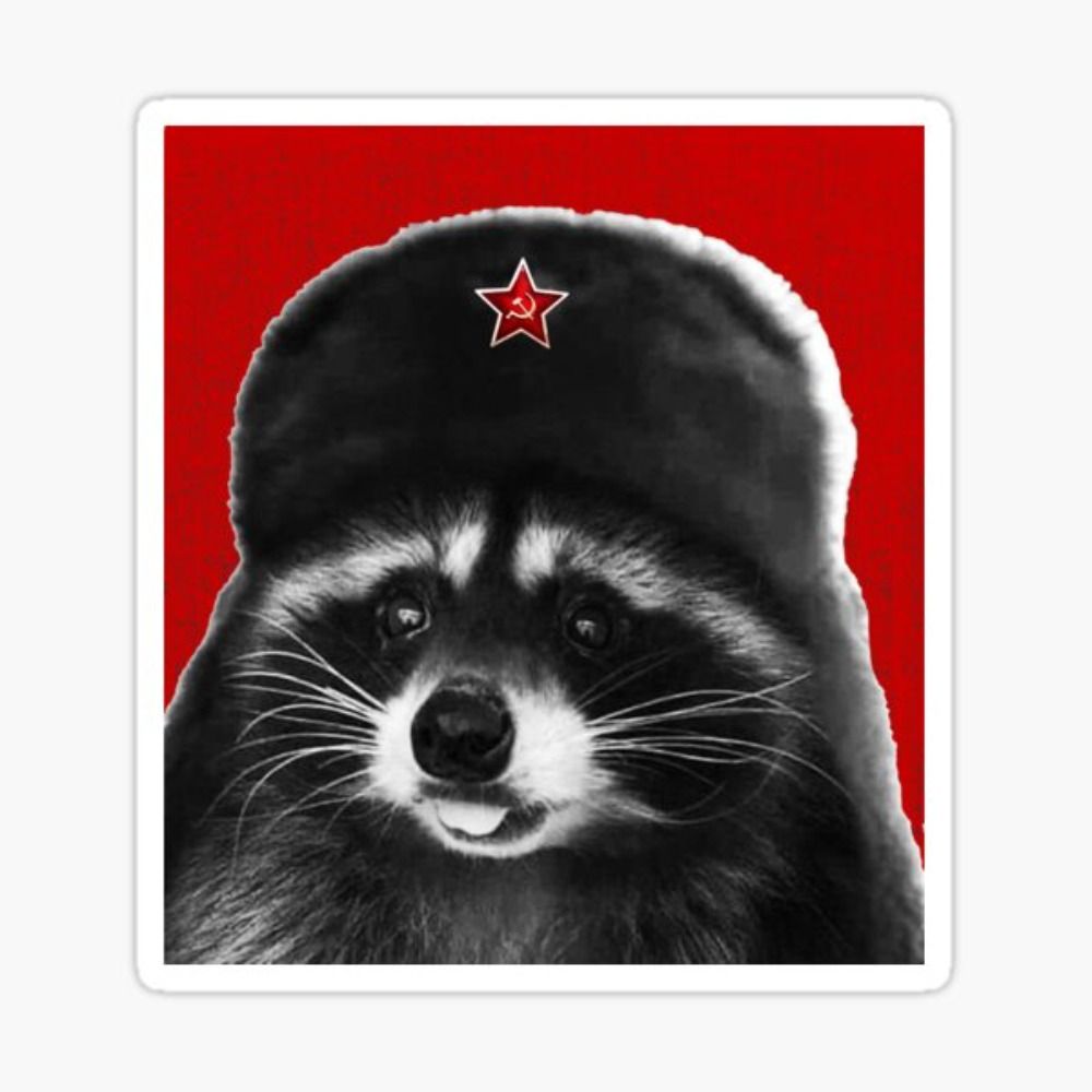 raccoon x. marxmallow 🚩🇵🇸