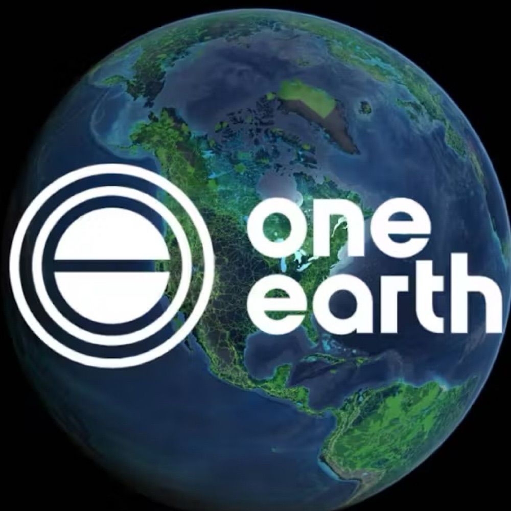 One Earth