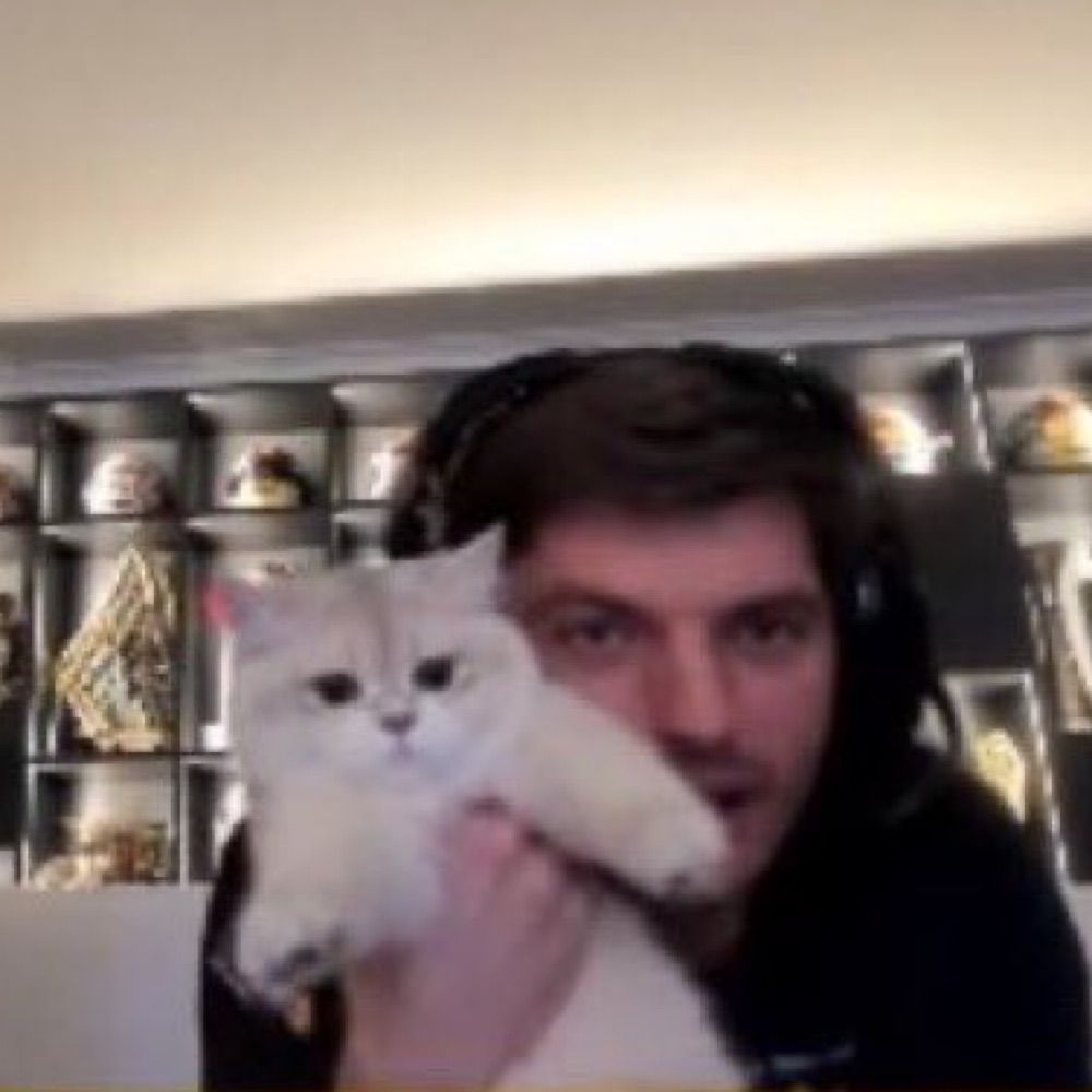 realsocier the monkey