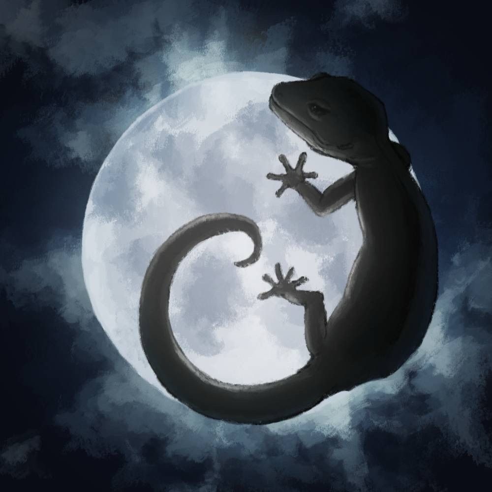 ヤモリ