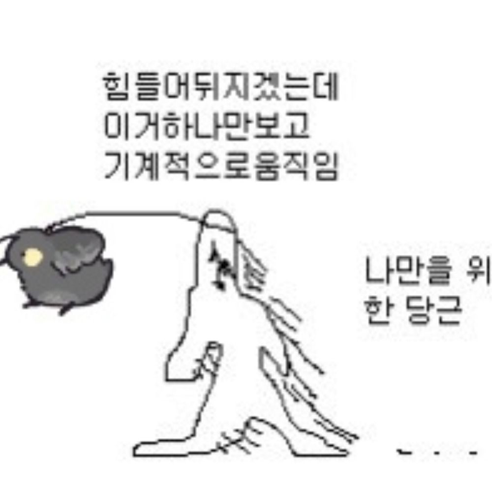 A론