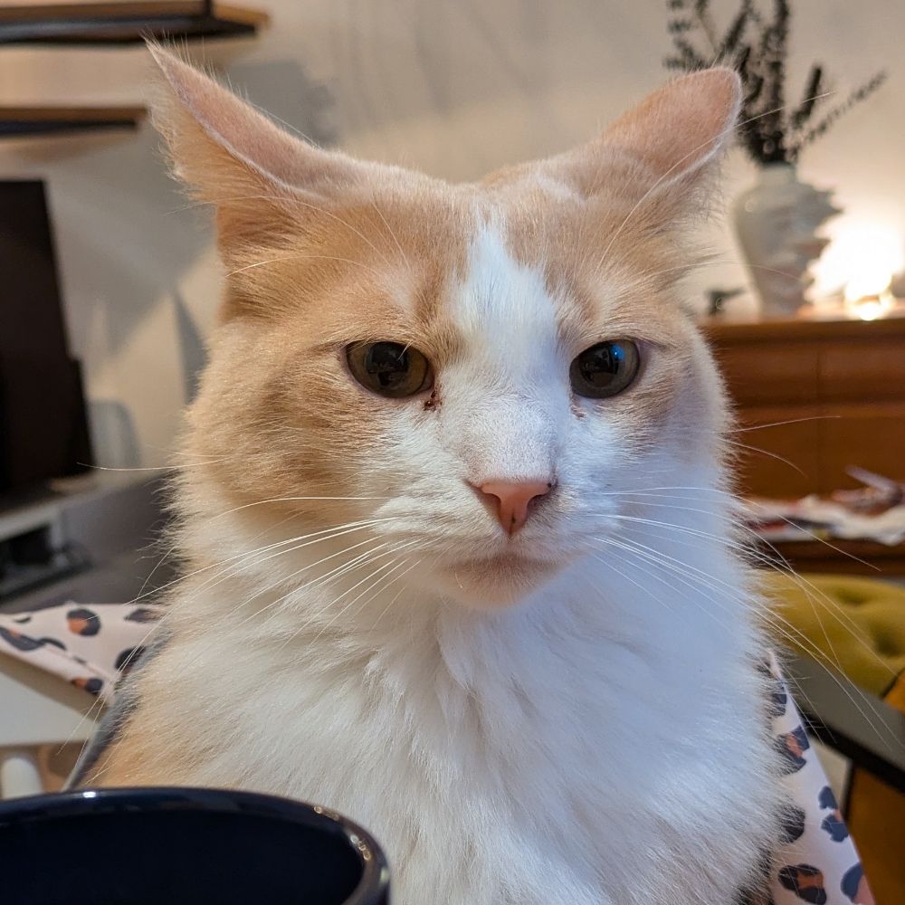 GwendalM
