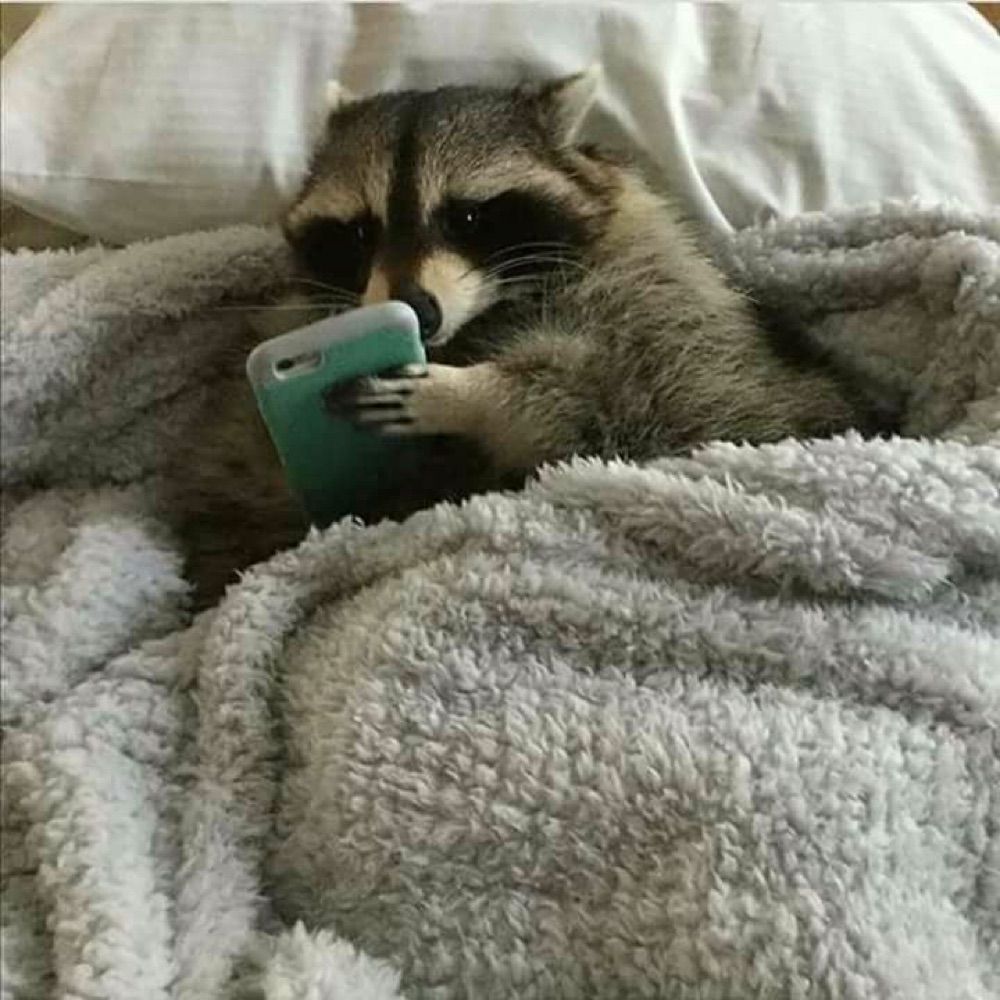 빵둥지둥