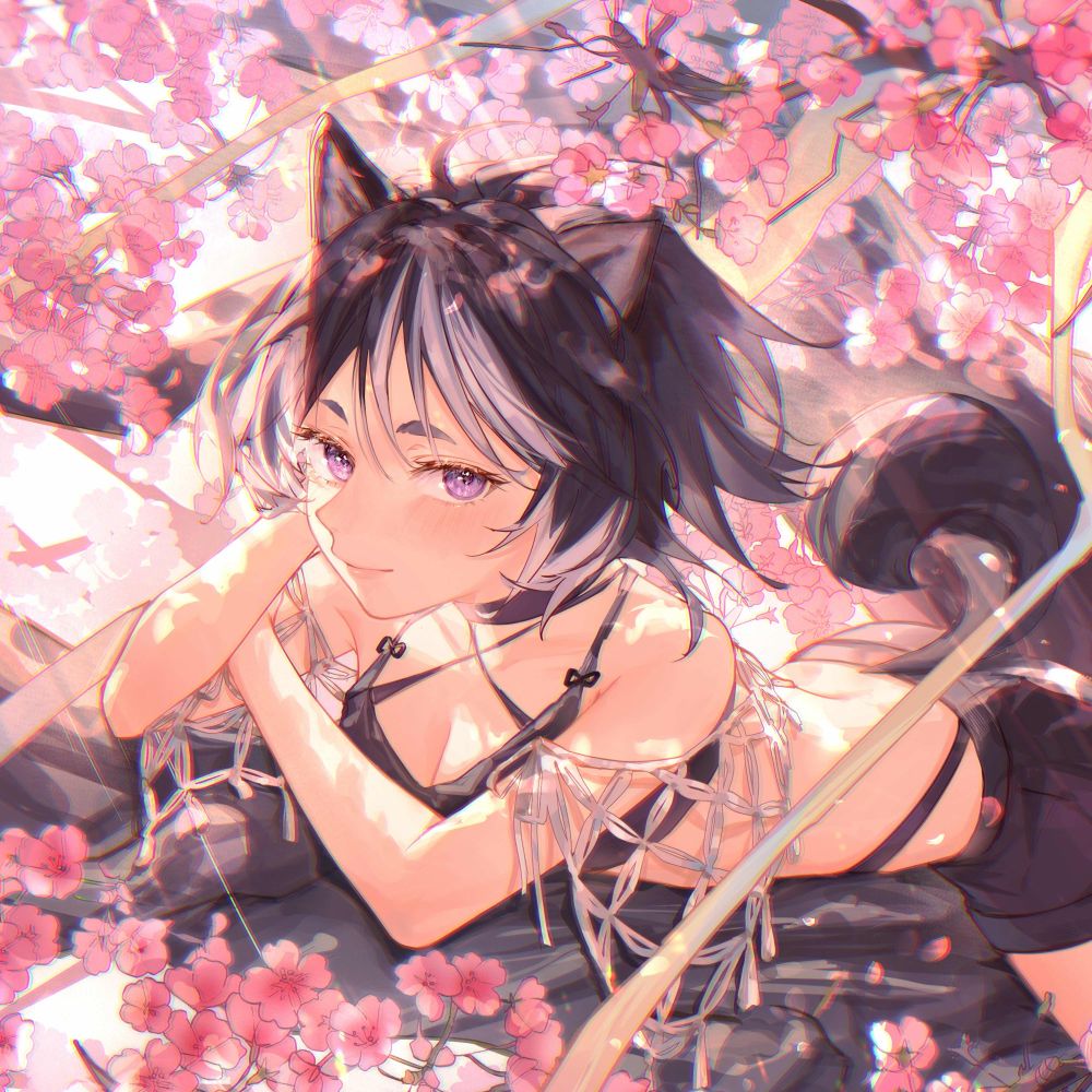 hinodeﾟ