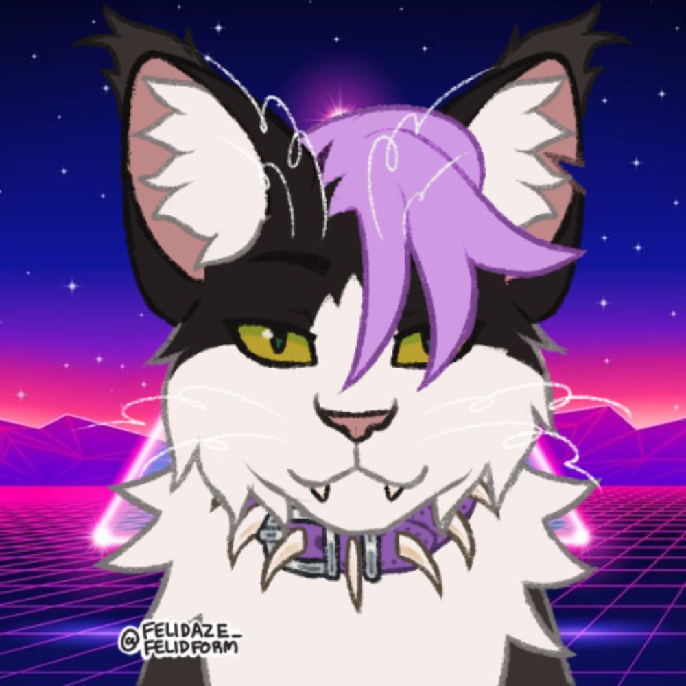 ⊹ ⁺ ⋅ ALEX ⿻ SUSSY BAKA CAT ₊˚