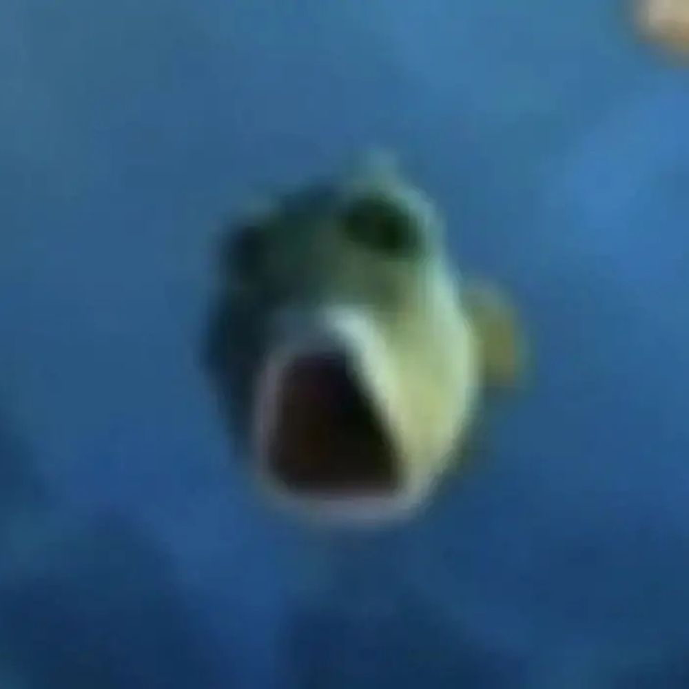 n0t