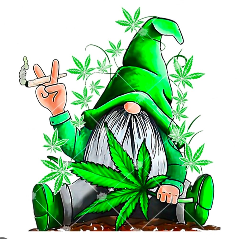 TGJ-The Green J🇨🇦