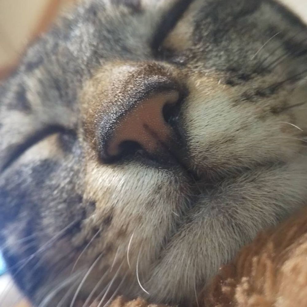 呑破