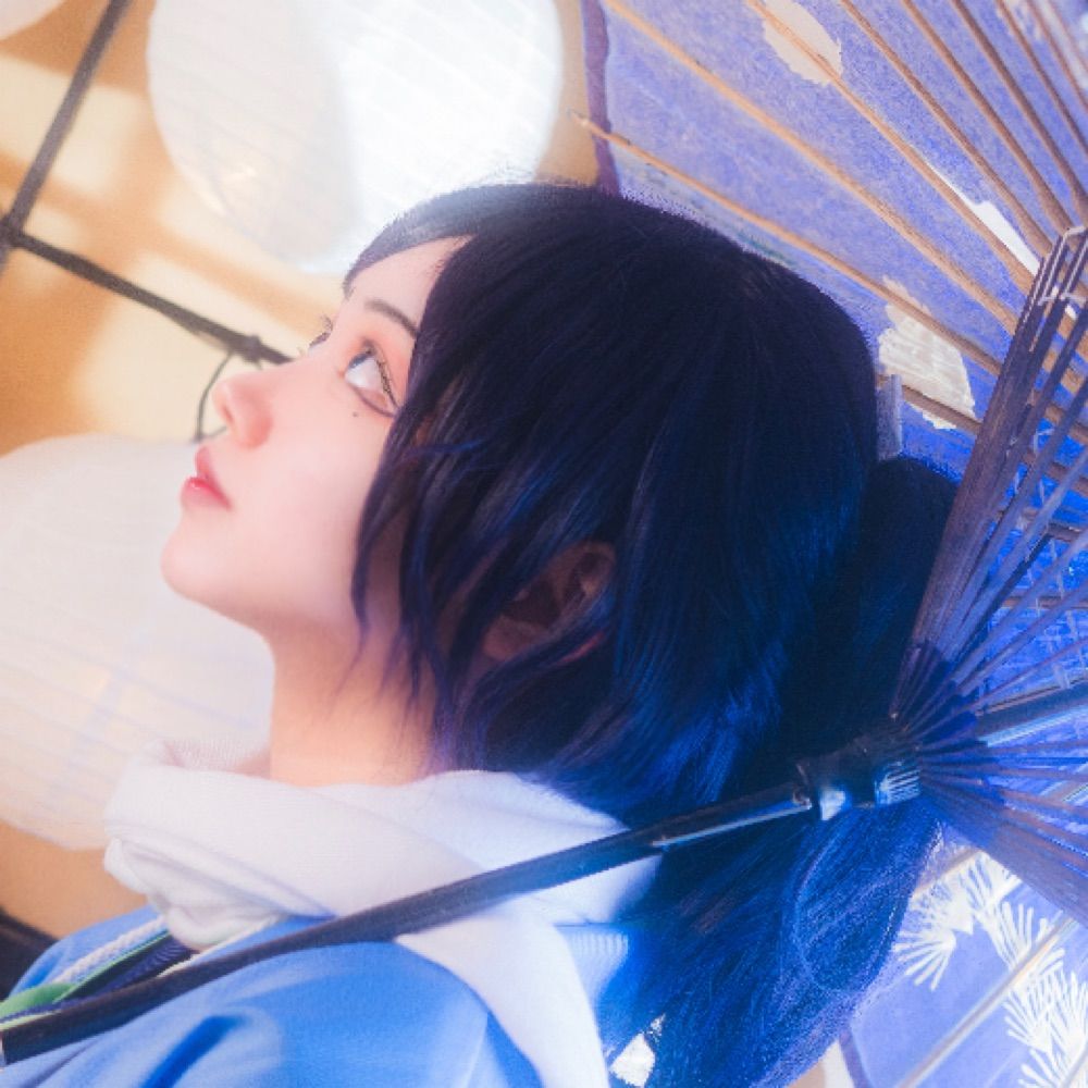 白菊