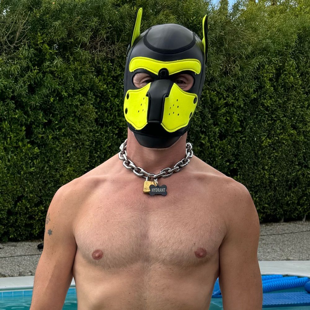 Pup Bill