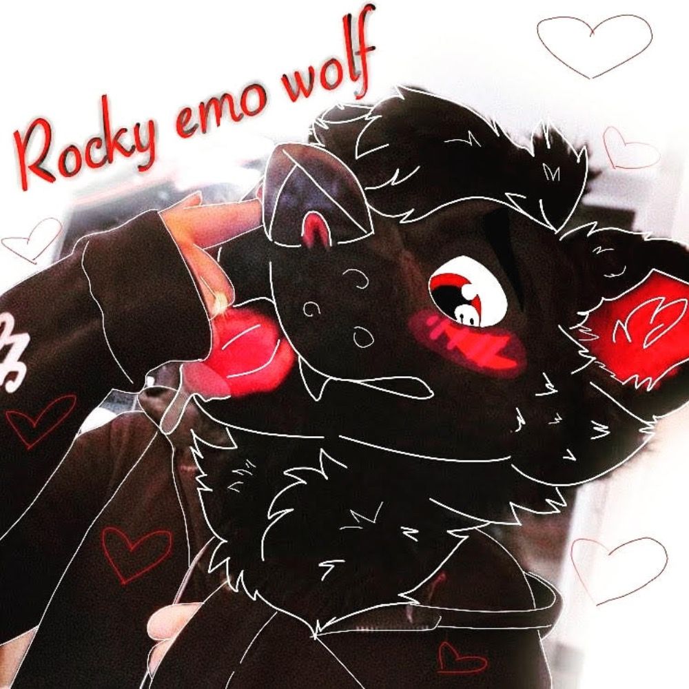 Rocky0w0Wolf