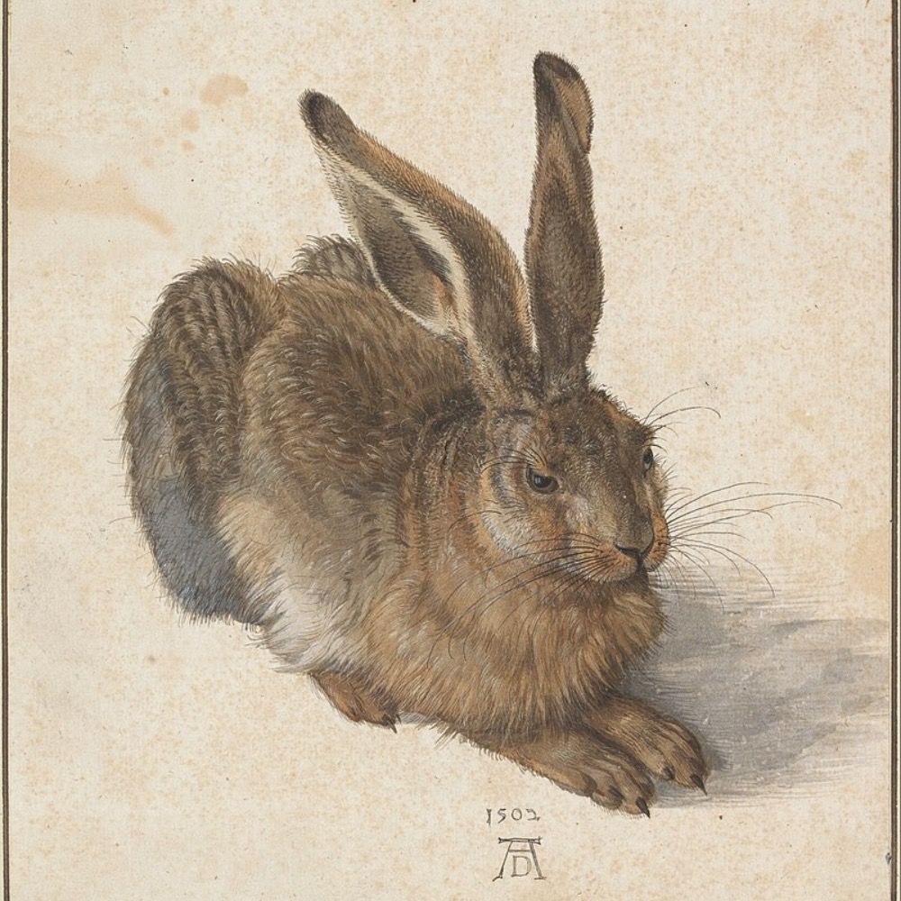 Hare 🍉's avatar