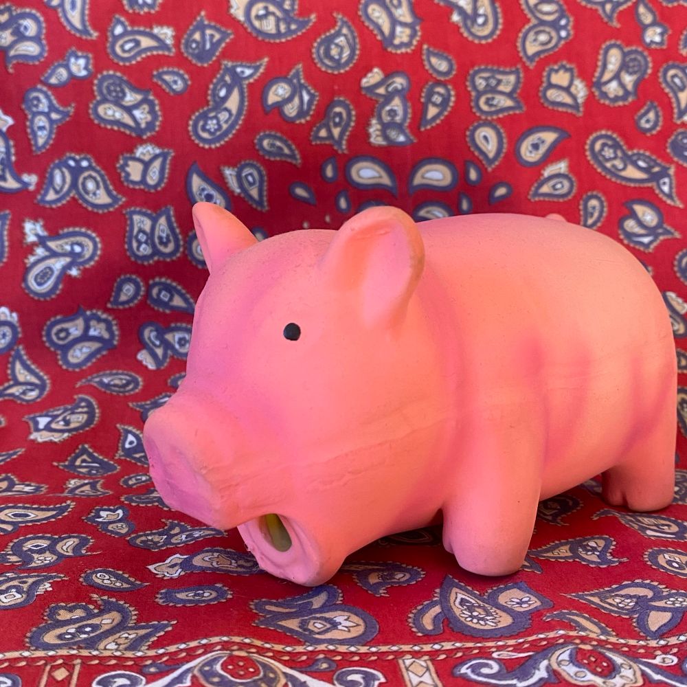 The Pink Pig-hole 🌈