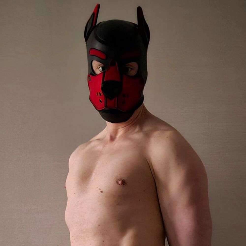 Pup Eon 🔜 Megaplex