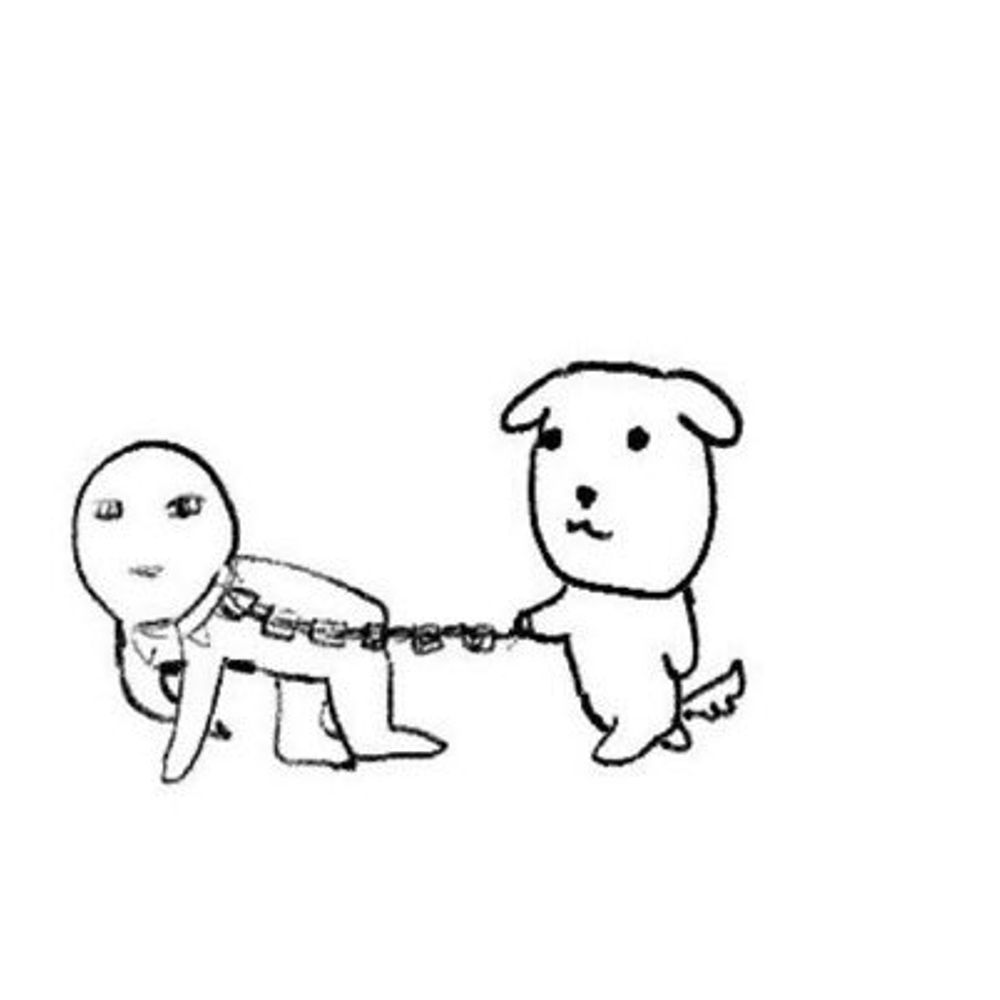 연차금지
