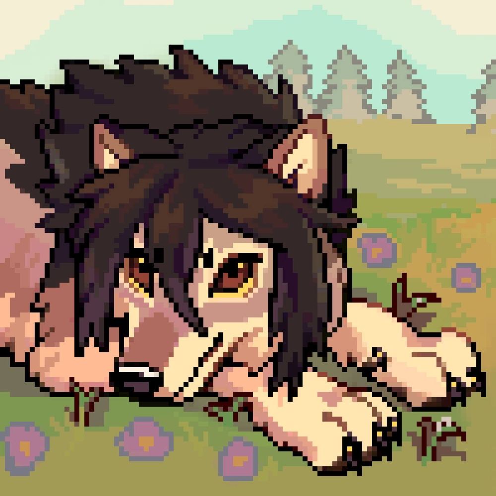 🐺 Wolfy 🪽
