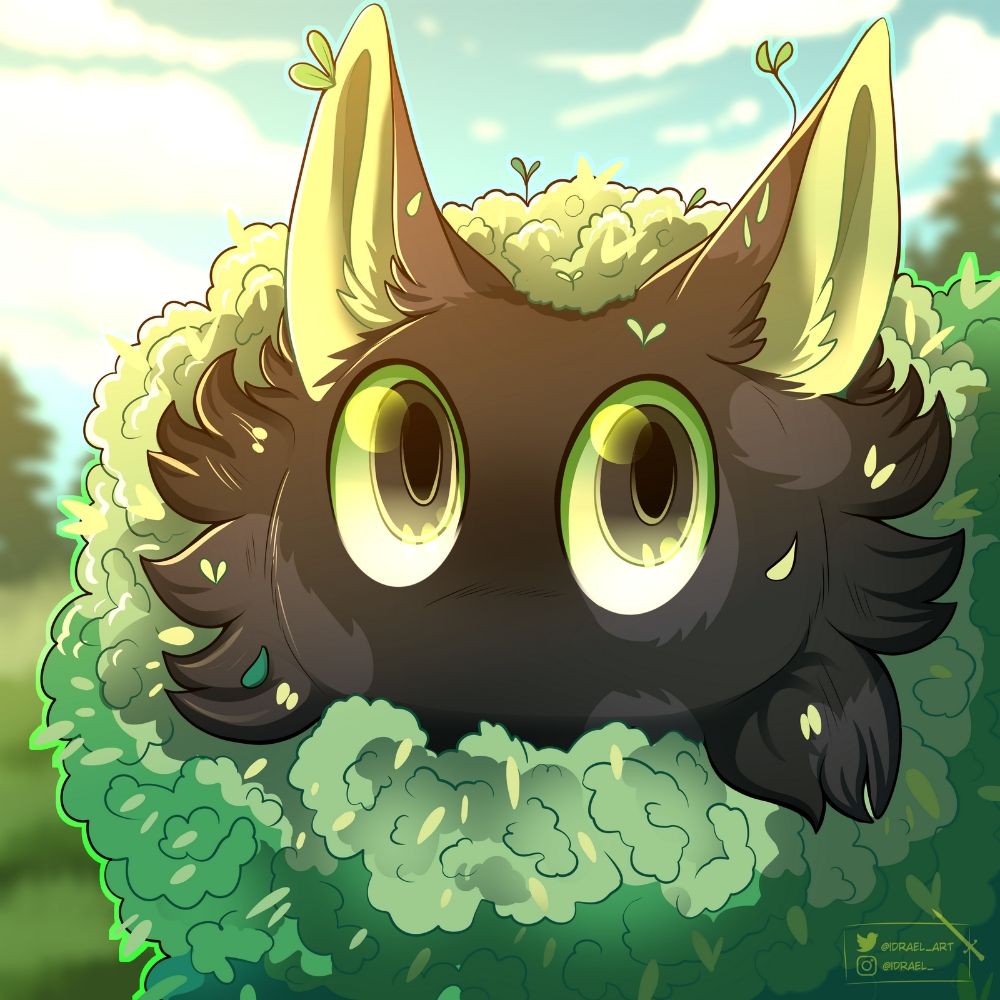 Piny👁️n