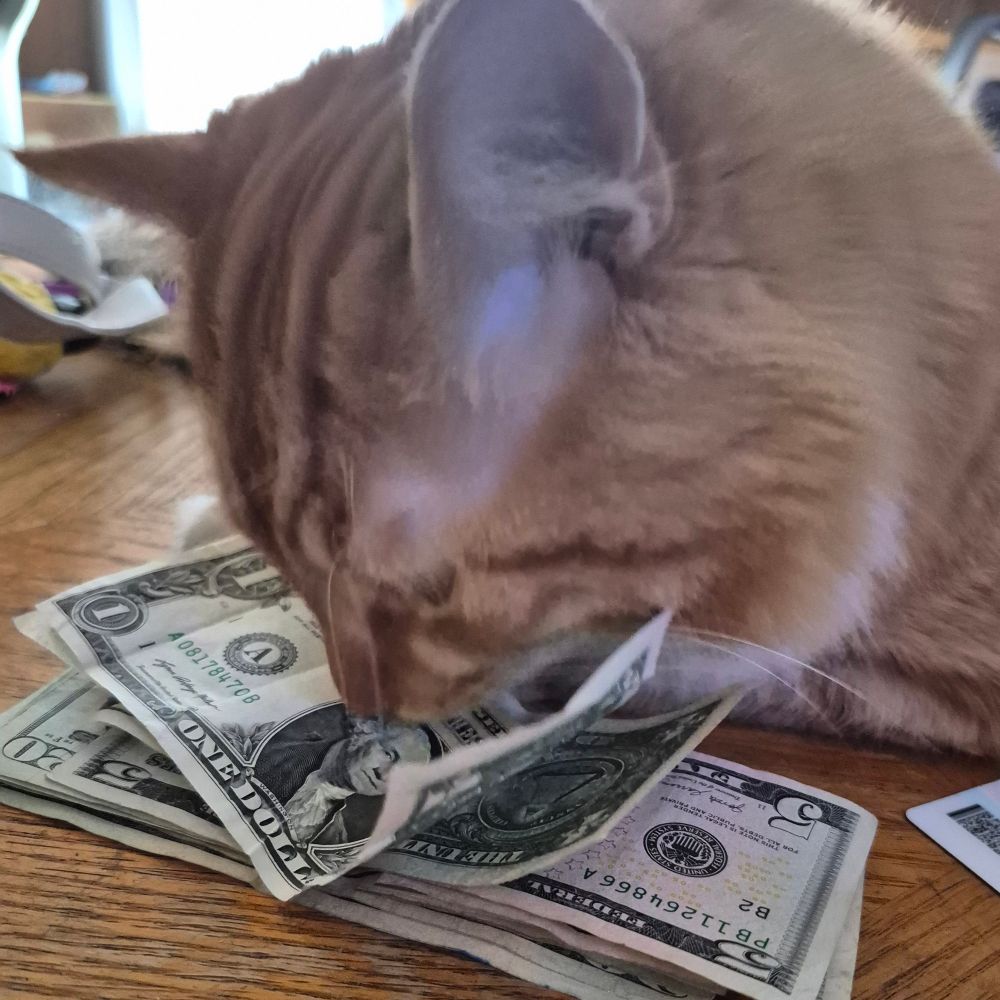 Kira Chimera