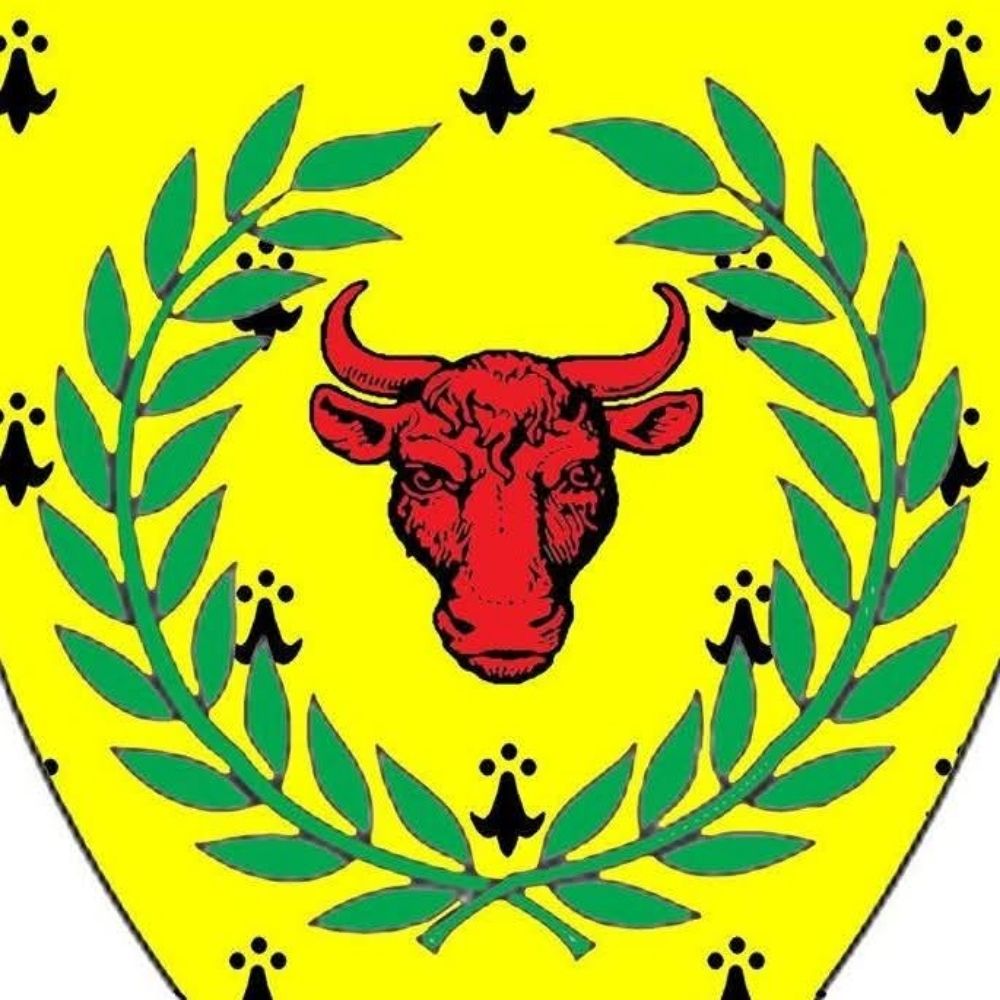Shire of Iron Ox