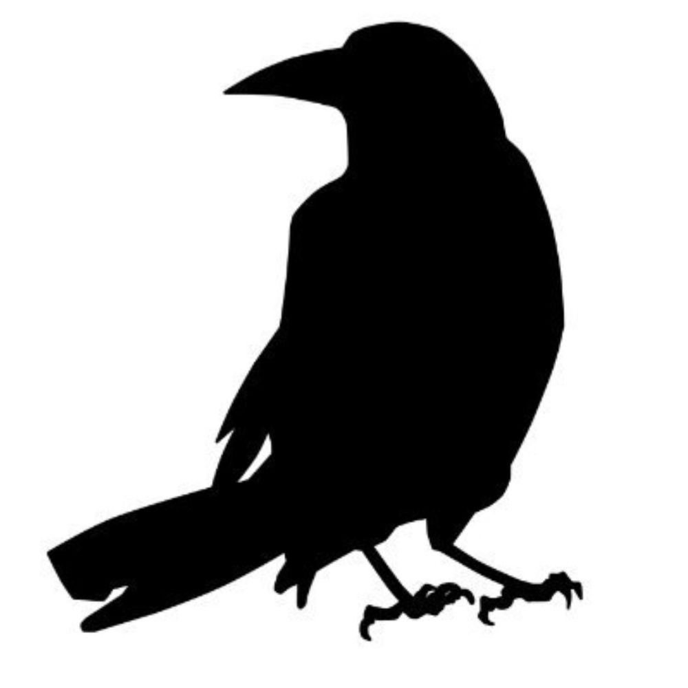 朱鳥
