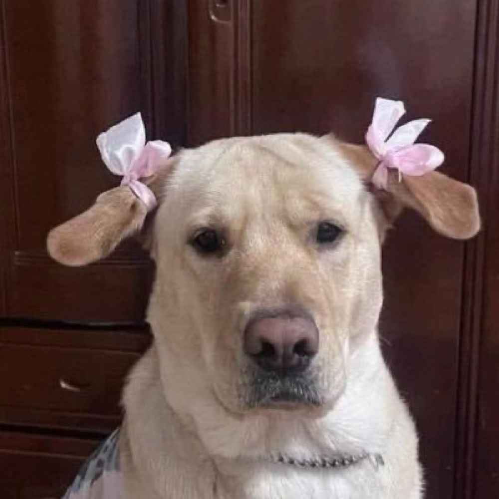 Nan