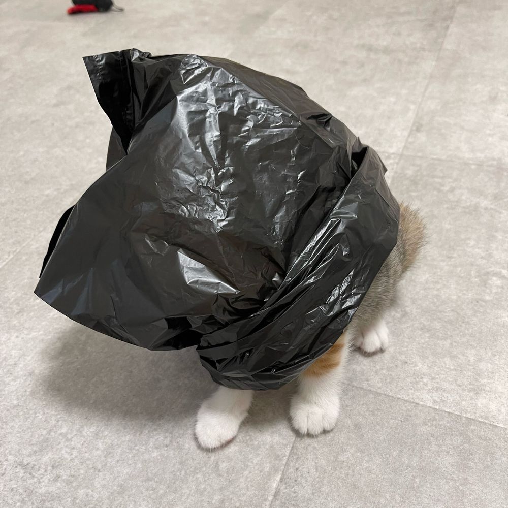 月宮稲荷