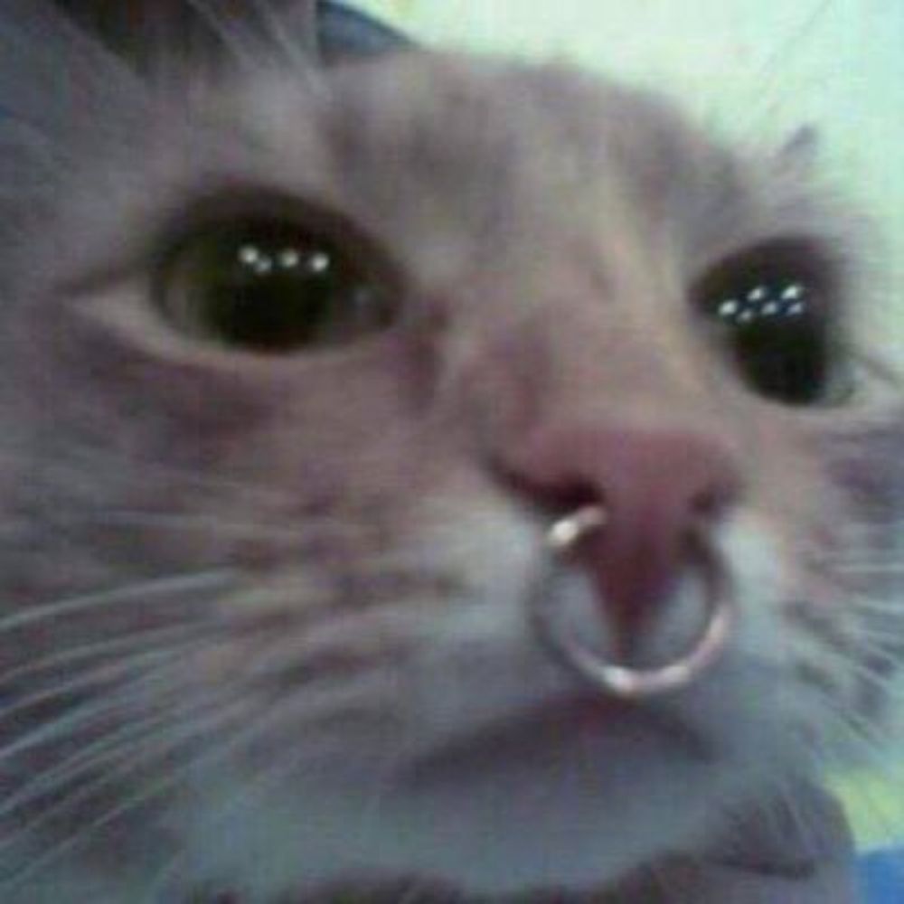 𝓚𝓻𝓲𝓼 𓋹