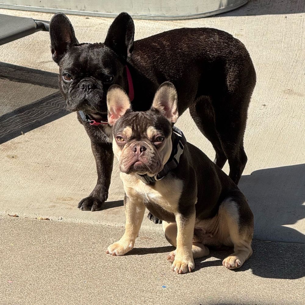 Sassy and Jax