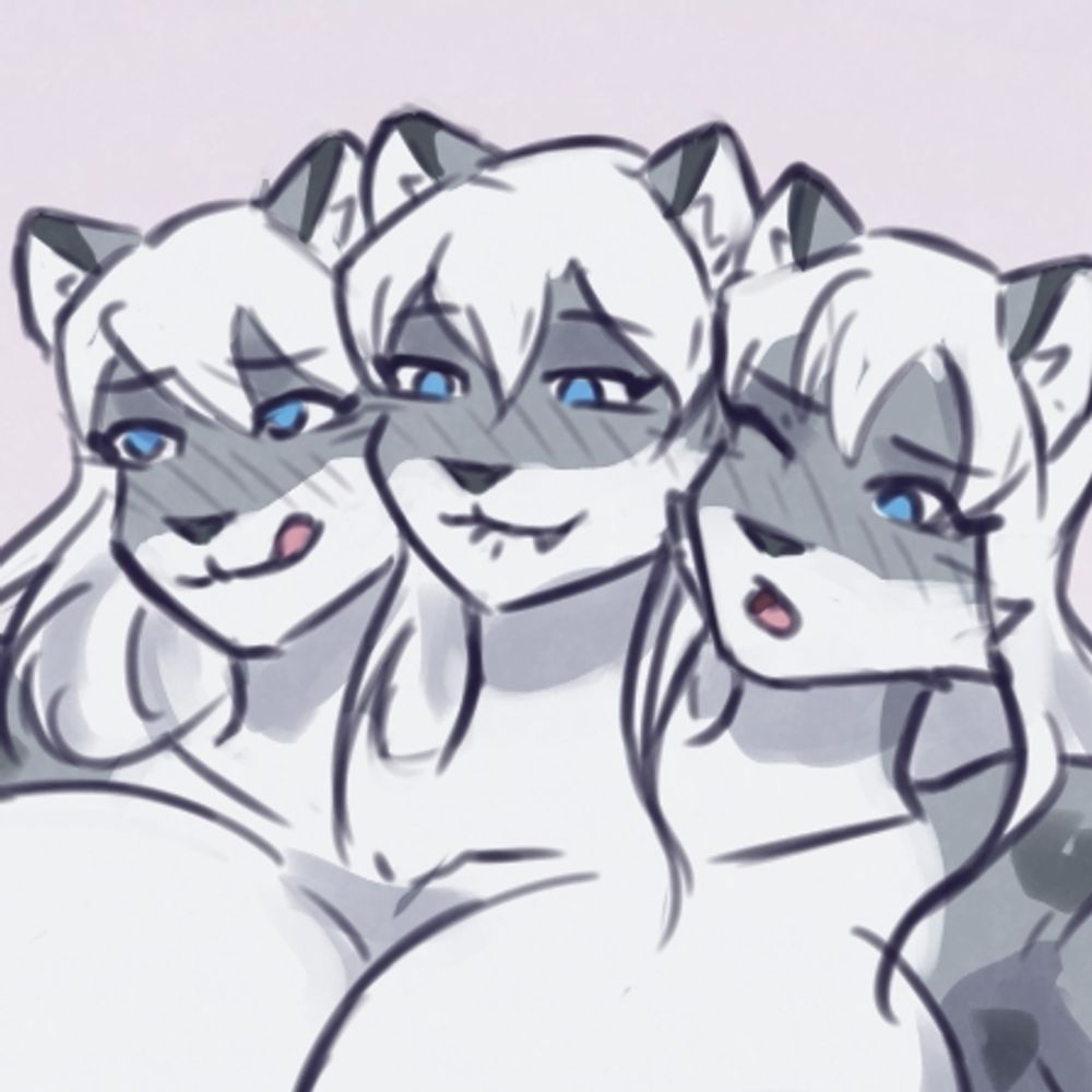 Snep Specialist
