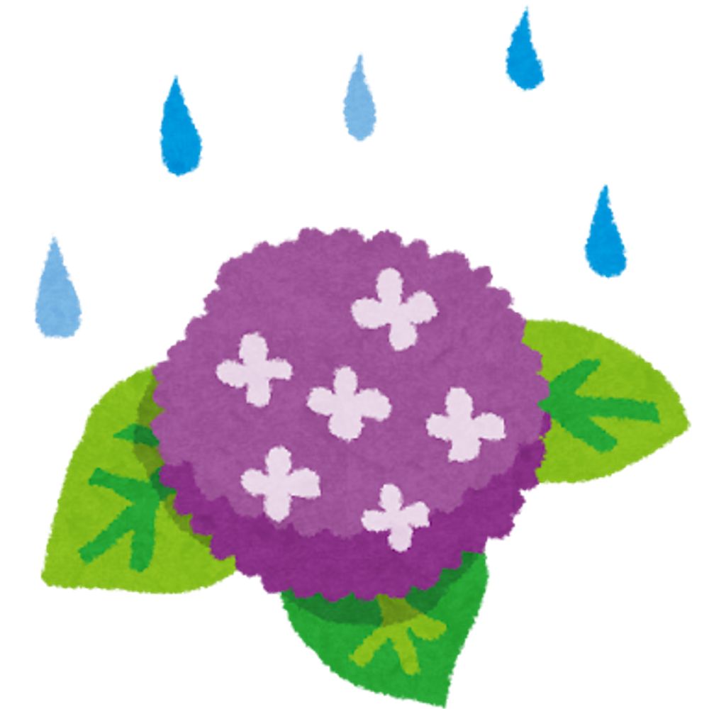 小雨