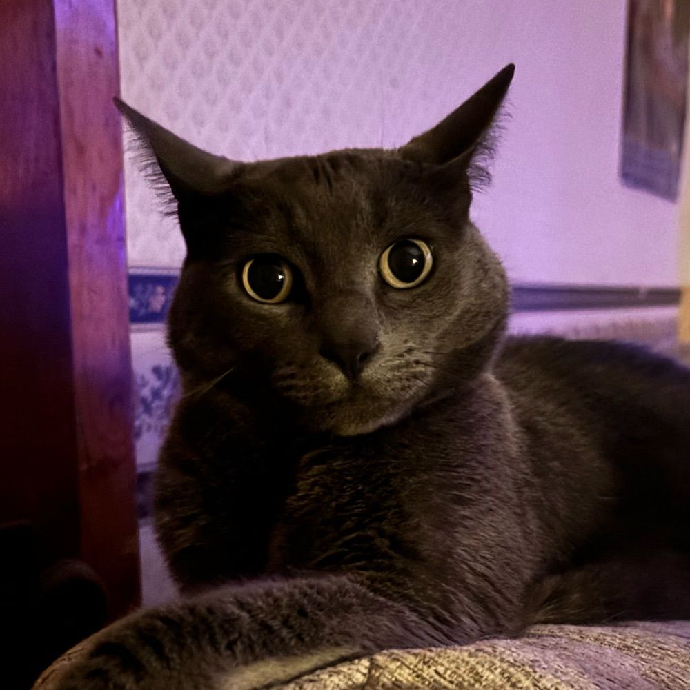 Atlas