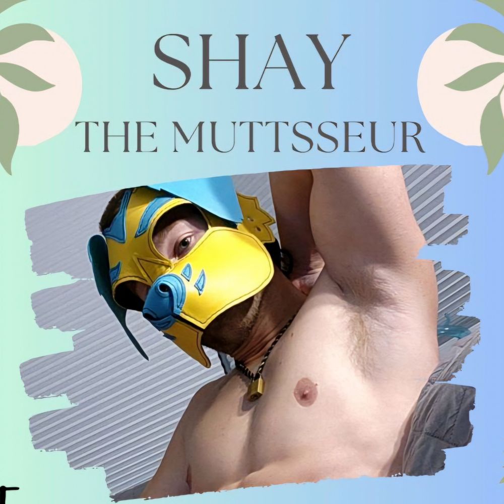 Shay Mutt's avatar