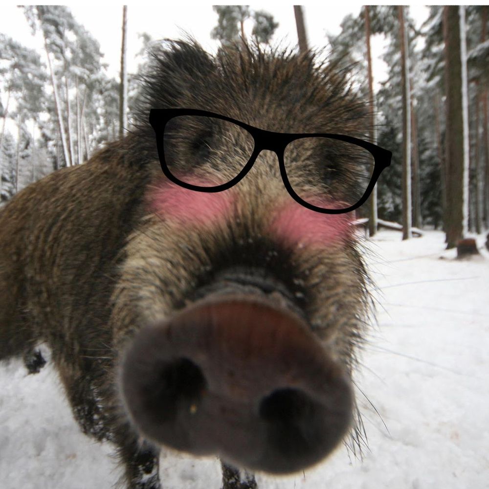 Emma B. Boar(ish)