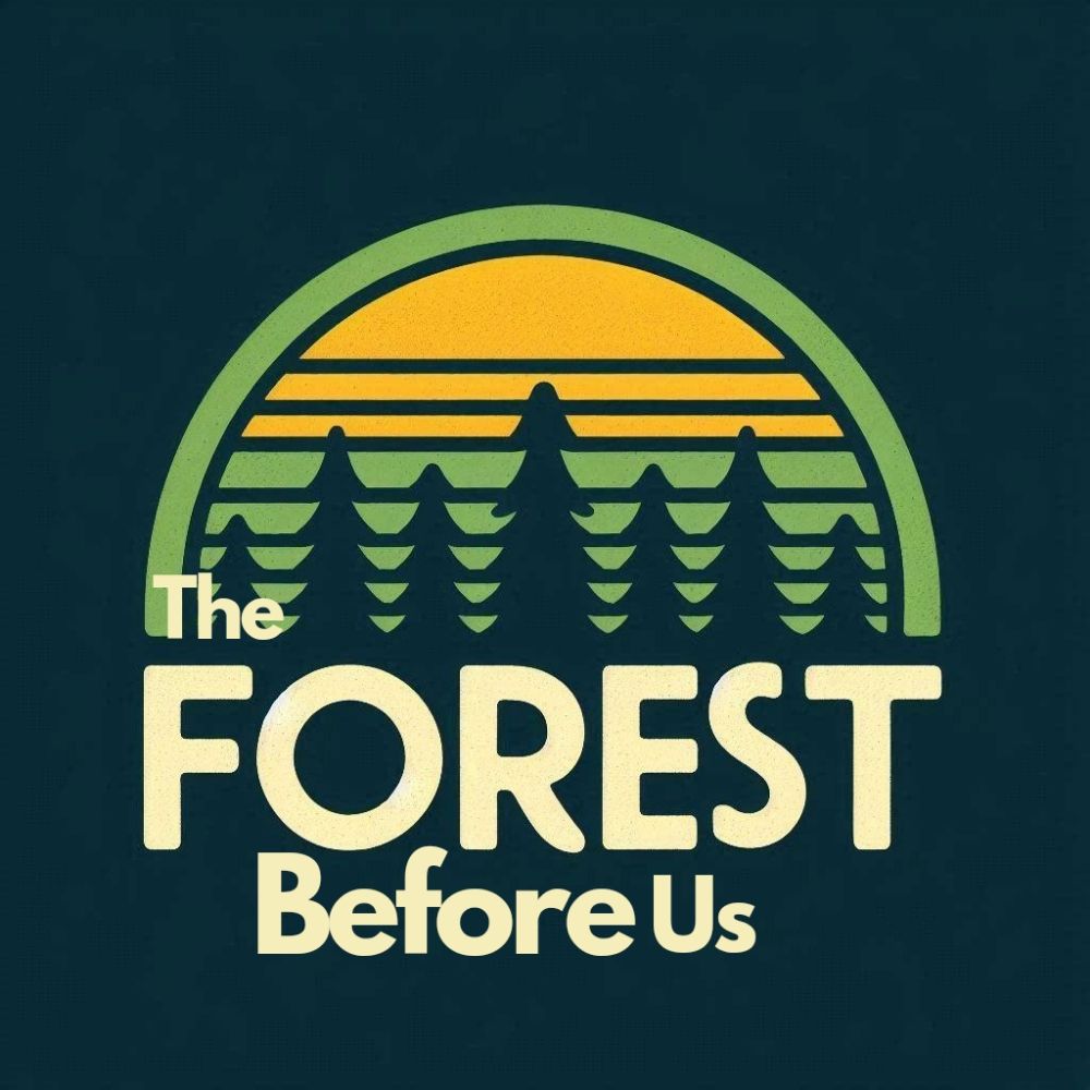 The Forest Before Us