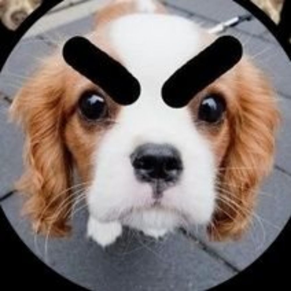 Suri