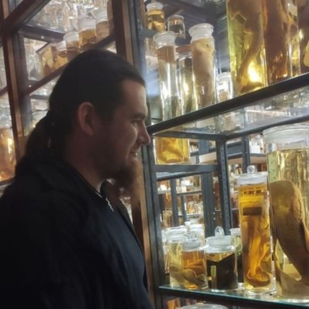 Dr. Maik Damm 🐍