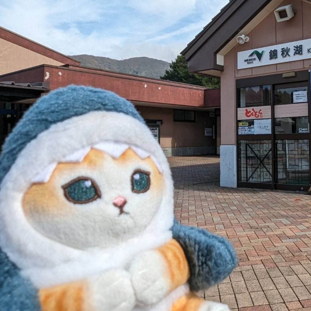 リーフィー
